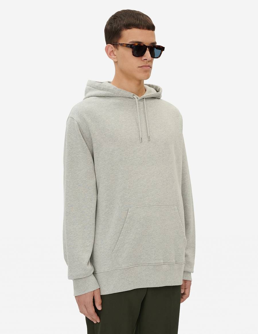 Grey Men's Maison Kitsune Bill Rebholz All Relaxed Hoodies | AU-E0207