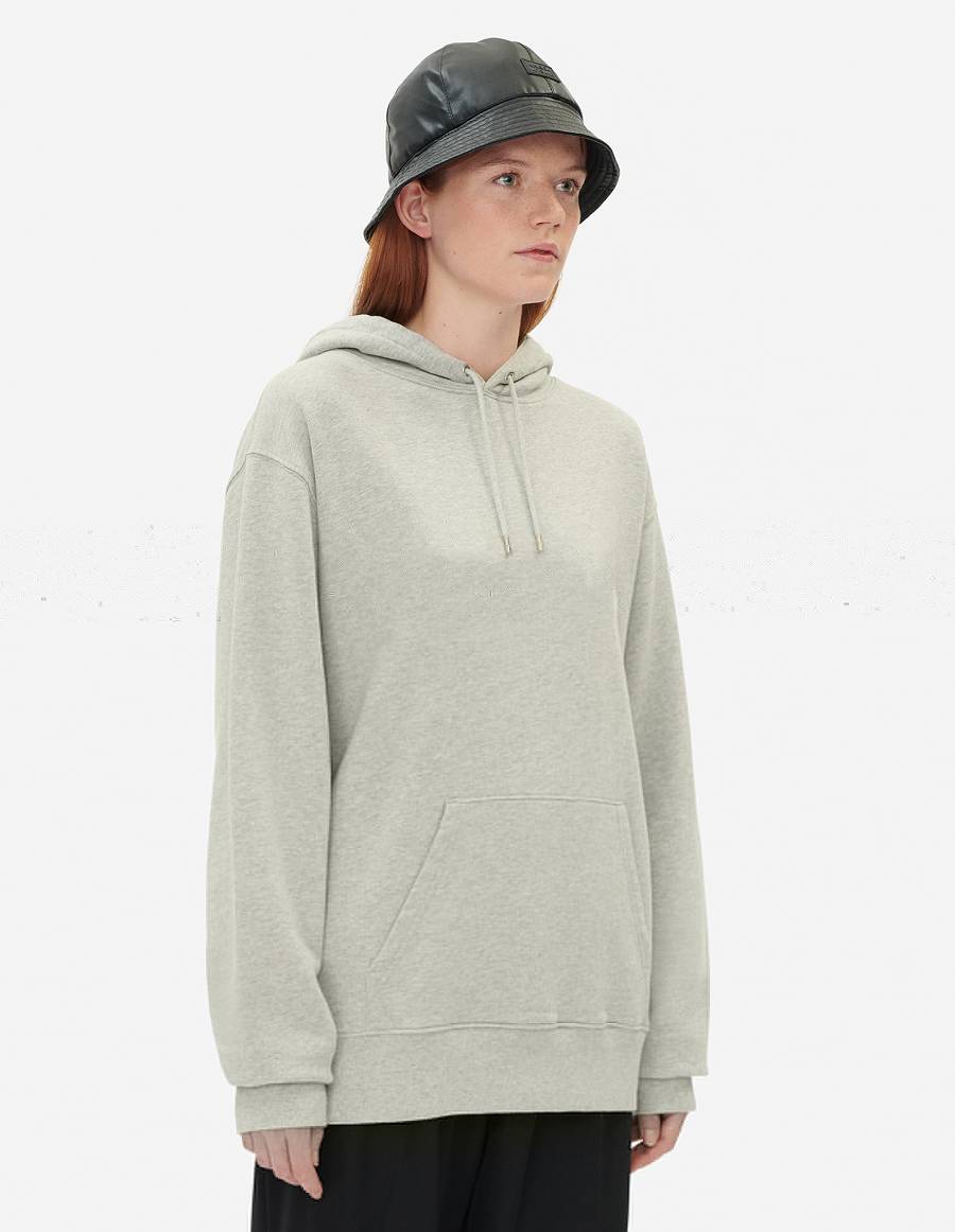 Grey Men's Maison Kitsune Bill Rebholz All Relaxed Hoodies | AU-E0207